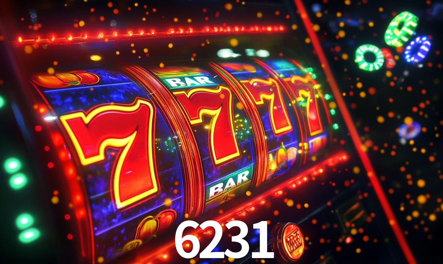 6231.com