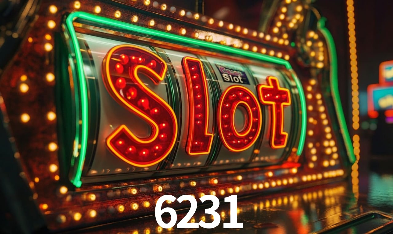 6231 - Support