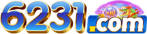 6231.com